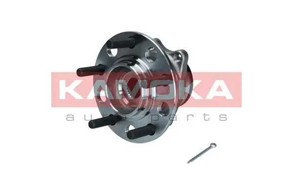 Wheel Bearing Kit (5500209)