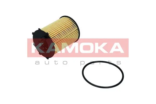 Oil Filter (F115901)