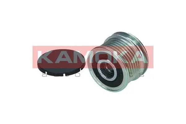 Alternator Freewheel Clutch