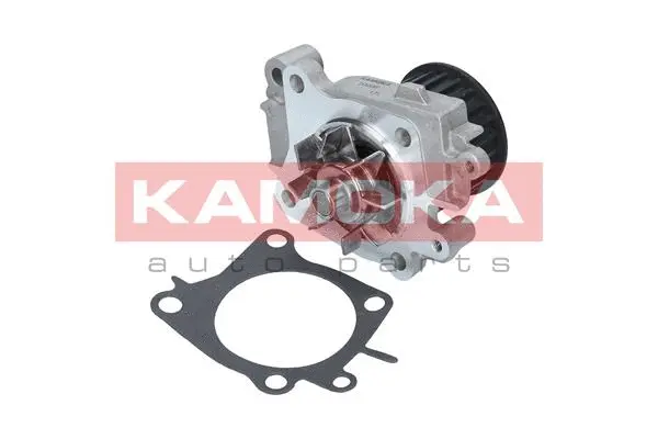 Water Pump, engine cooling (T0206)