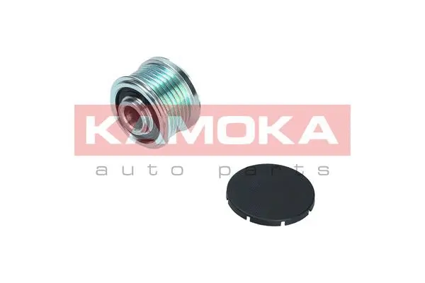Alternator Freewheel Clutch