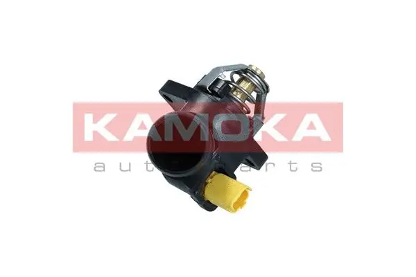 Thermostat, coolant