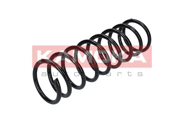 Suspension Spring (2120031)