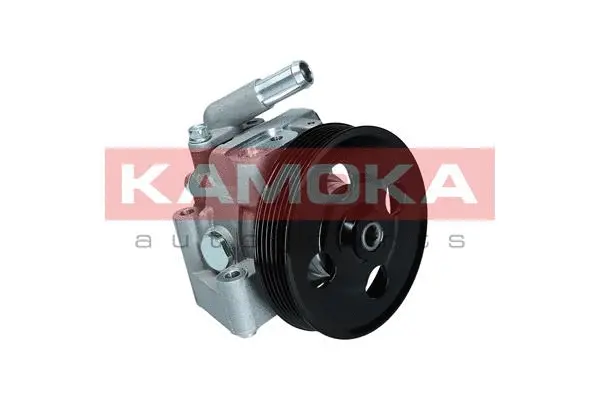 Hydraulic Pump, steering (PP124)
