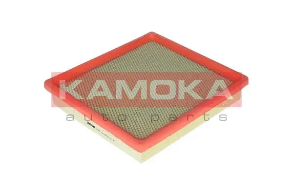 Air Filter (F216901)