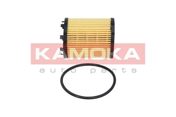 Oil Filter (F104101)