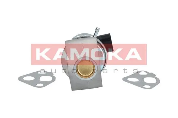 EGR Valve
