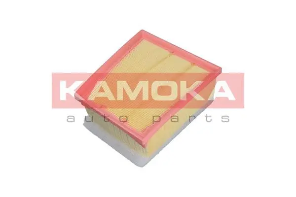 Air Filter (F240001)