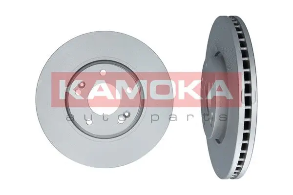 Brake Disc (1031070)