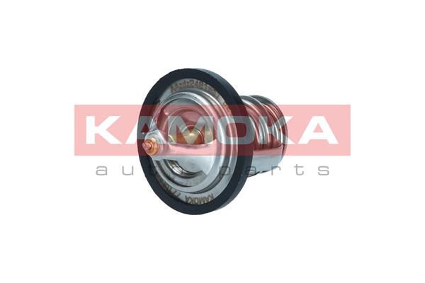 Thermostat, coolant (7710061)