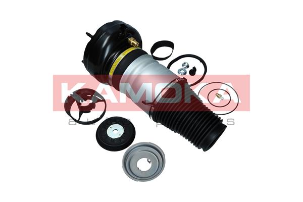 Air Spring, suspension (2079005)