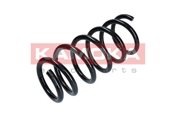 Suspension Spring (2110207)