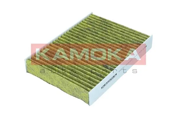 Filter, cabin air (6080122)