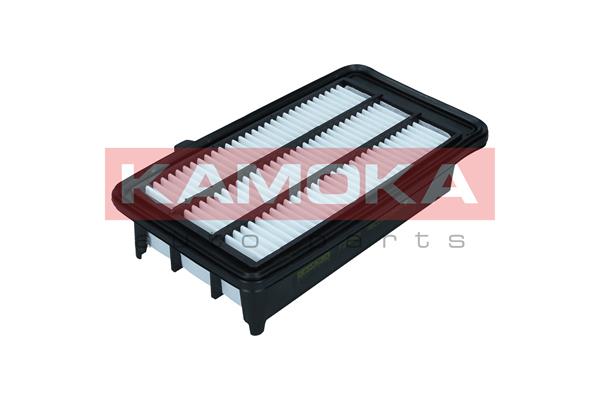 Air Filter (F256501)