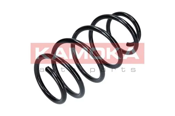 Suspension Spring (2110037)