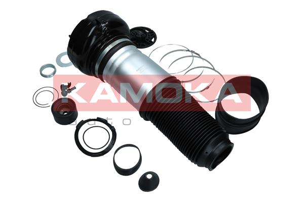 Air Spring, suspension (2079006)