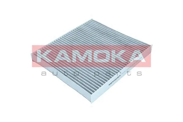 Filter, cabin air (F517301)