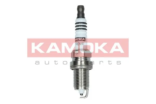 Spark Plug (7090536)