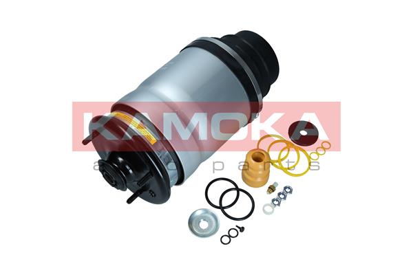 Air Spring, suspension (2079030)