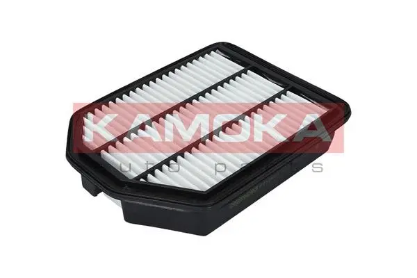Air Filter (F232901)