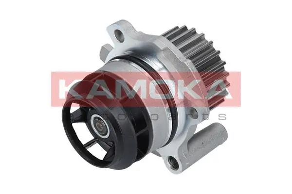 Water Pump, engine cooling (T0022)