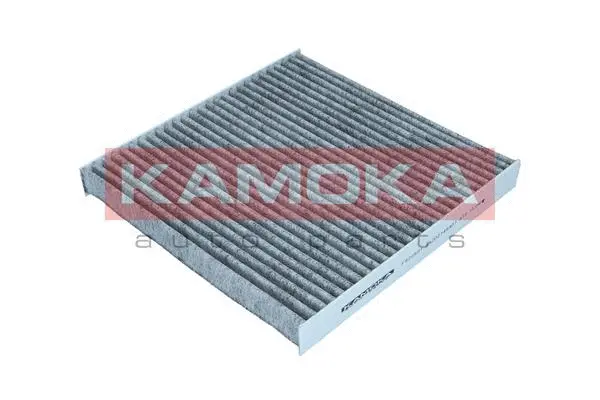 Filter, cabin air (F520501)