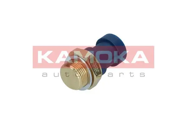 Temperature Switch, radiator fan (4090028)