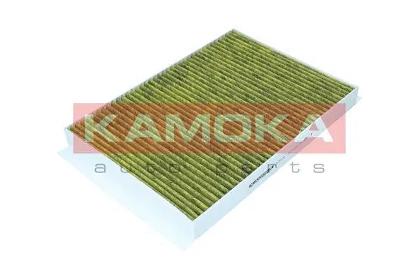 Filter, cabin air (6080106)