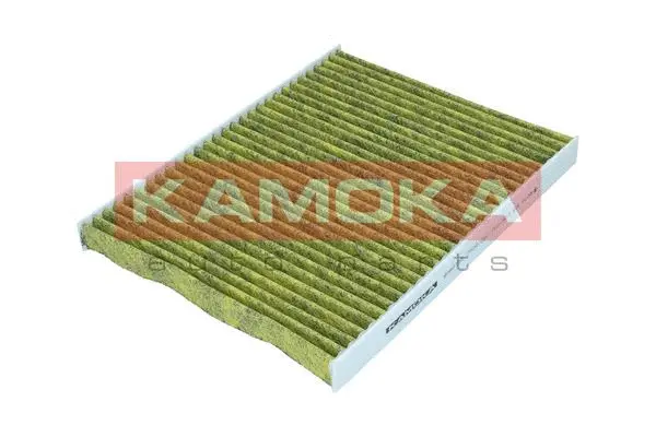 Filter, cabin air (6080136)