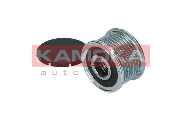 Alternator Freewheel Clutch