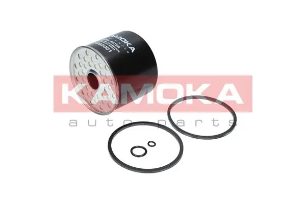 Fuel Filter (F302001)