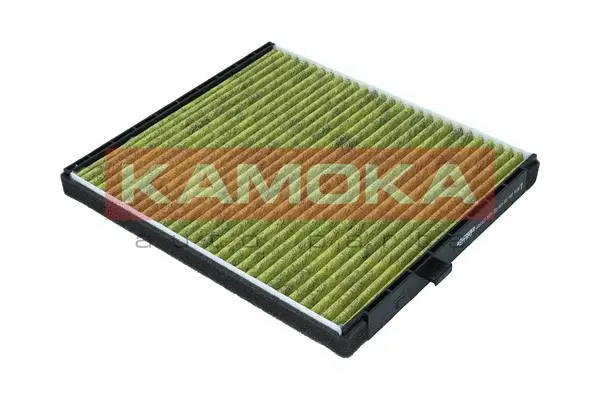 Filter, cabin air (6080117)