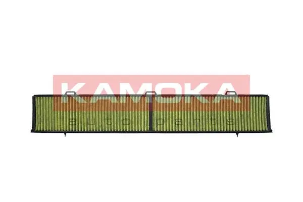 Filter, cabin air (6080038)