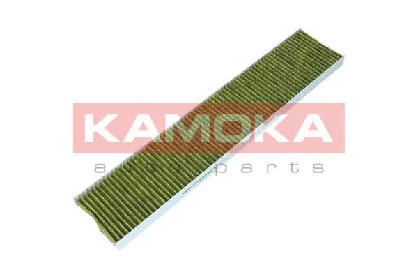 Filter, cabin air (6080007)