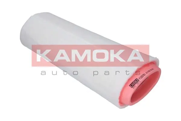 Air Filter (F205701)