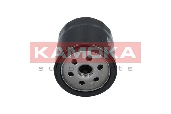 Oil Filter (F104301)