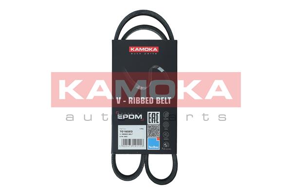 V-Ribbed Belt (7016023)