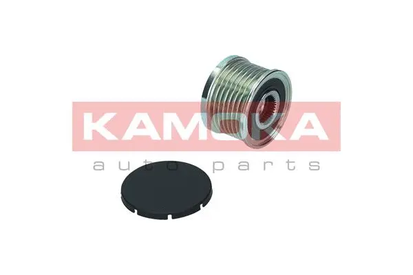 Alternator Freewheel Clutch