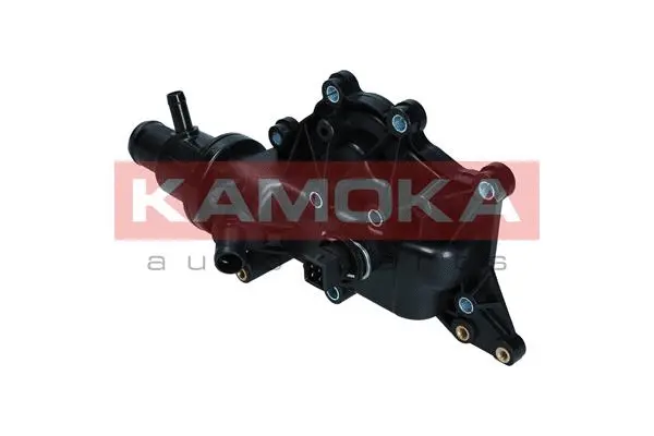 Thermostat, coolant