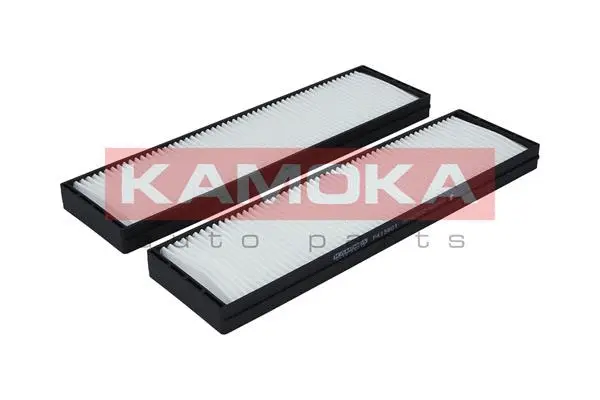 Filter, cabin air (F413601)