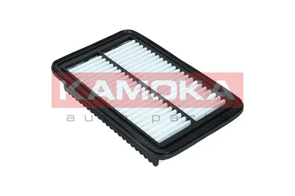 Air Filter (F247101)