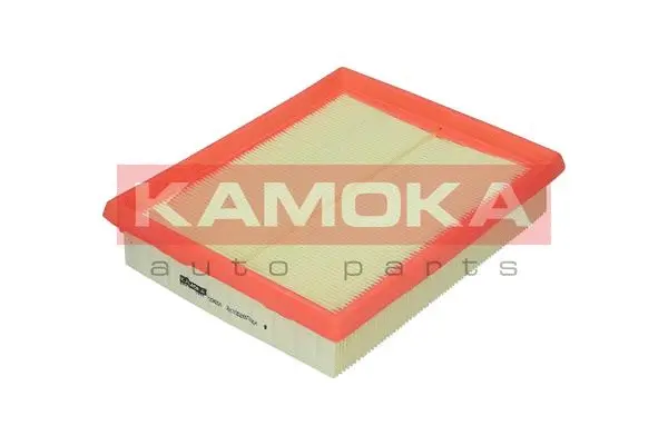 Air Filter (F204201)