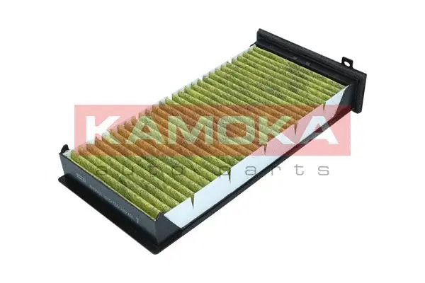 Filter, cabin air (6080018)