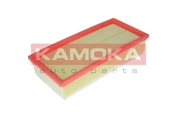 Air Filter (F223501)