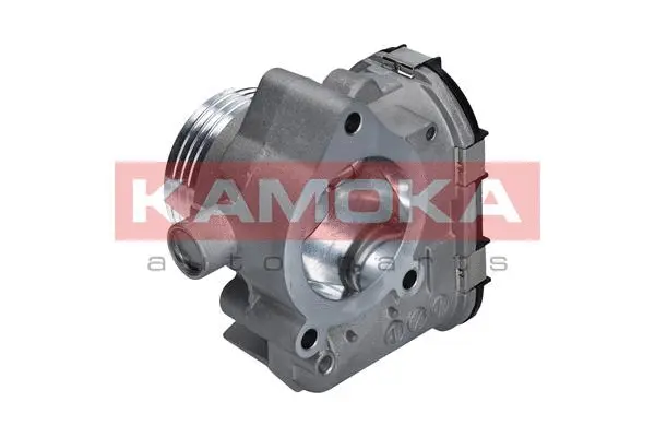 Throttle Body (112020)