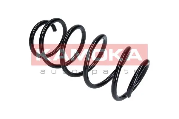 Suspension Spring