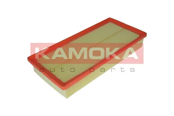 Air Filter (F217301)