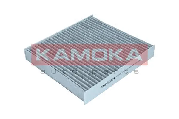 Filter, cabin air (F518501)