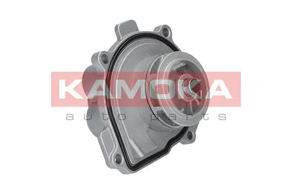 Water Pump, engine cooling (T0009)