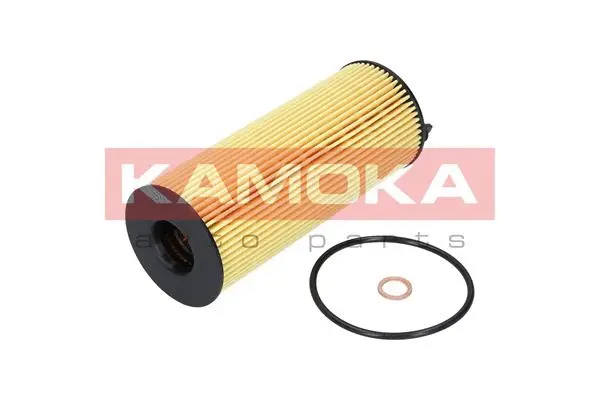 Oil Filter (F110701)